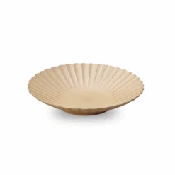Aito Aito Seto Yaki Hana Dinner Plate (23cm) - Beige