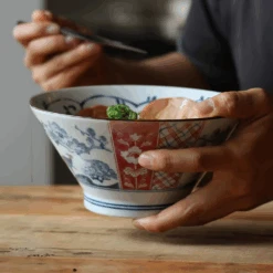 Awasaka Edokko Dinosaur Donburi Bowl (19cm) -The Custom Chef Shop Edokko Dinosaur Donburi Bowl