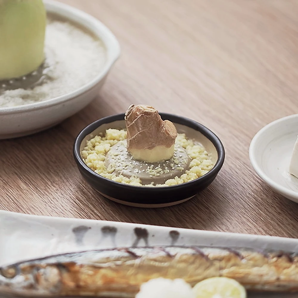 &NE &NE Motoshige Suri Japanese Grater 5 &NE &NE Motoshige Suri Japanese Grater - Image 3