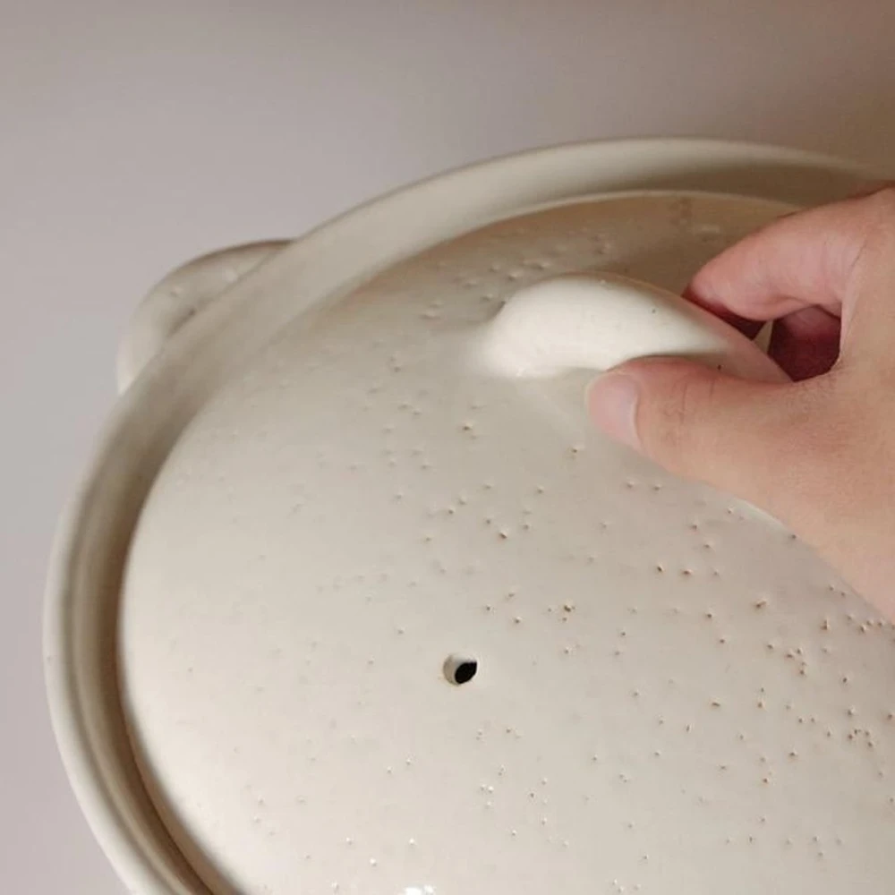 Tojiki Tonya Tojiki Tonya Iga Donabe Japanese Clay Pot 25cm (Size 8) White - Image 4