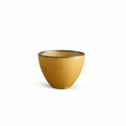 Toki Yamaman Tojiki Tonya Cotto Series Teacup - Mustard
