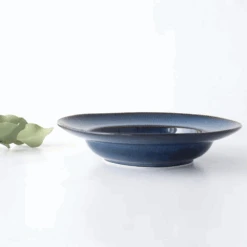 Tojiki Tonya Tojiki Tonya Orlo Series Pasta Plate (24cm) -The Custom Chef Shop Tojiki Tonya Orlo Series Pasta Plate 24cm 2