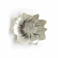 Aito Aito Seto Yaki Amaryllis Glazed Dinner Plate (25cm) - Glossy Grey